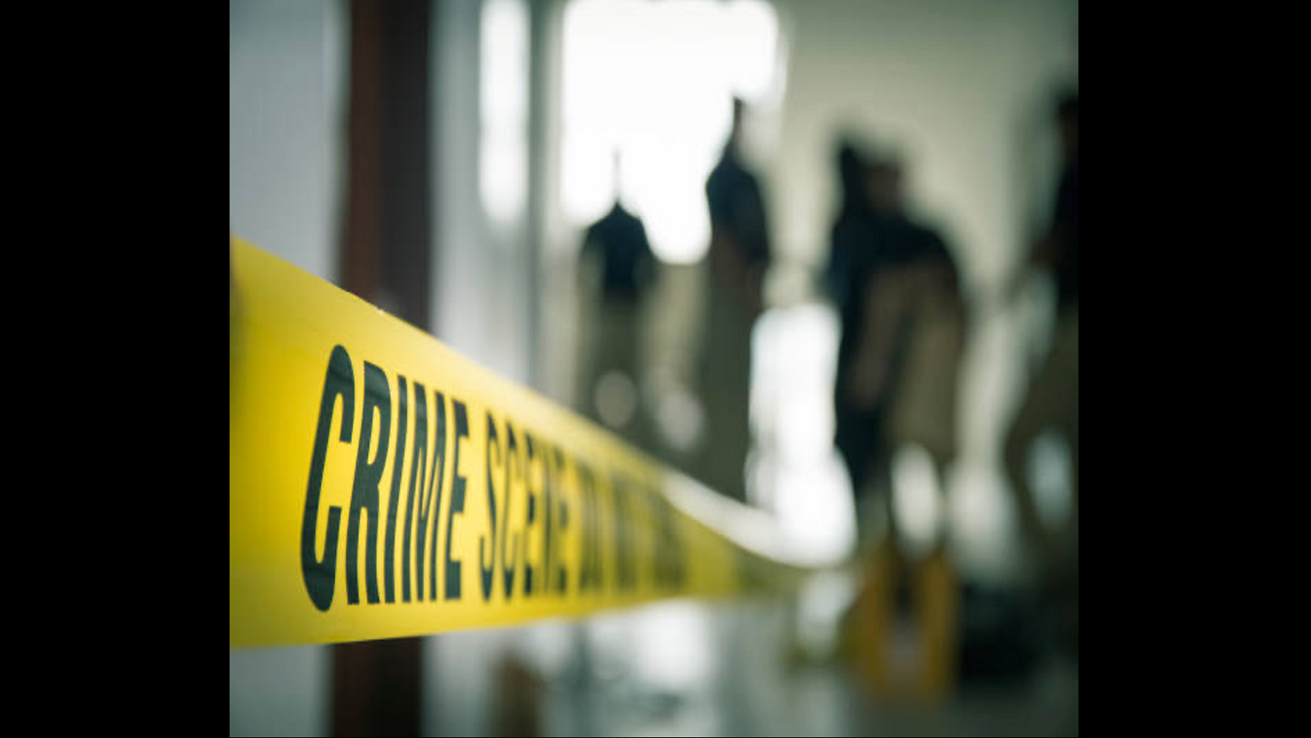 Scènes de crime : au coeur de l'enquête